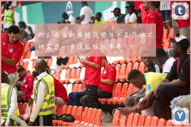 科瓦奇分析多特优势与不足贝林汉姆需进一步适应球队节奏