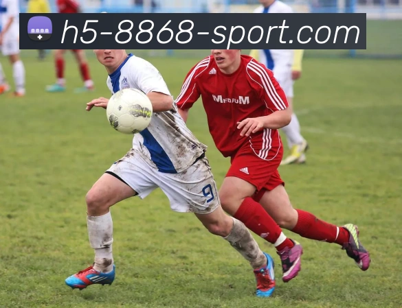 数据防护可视化